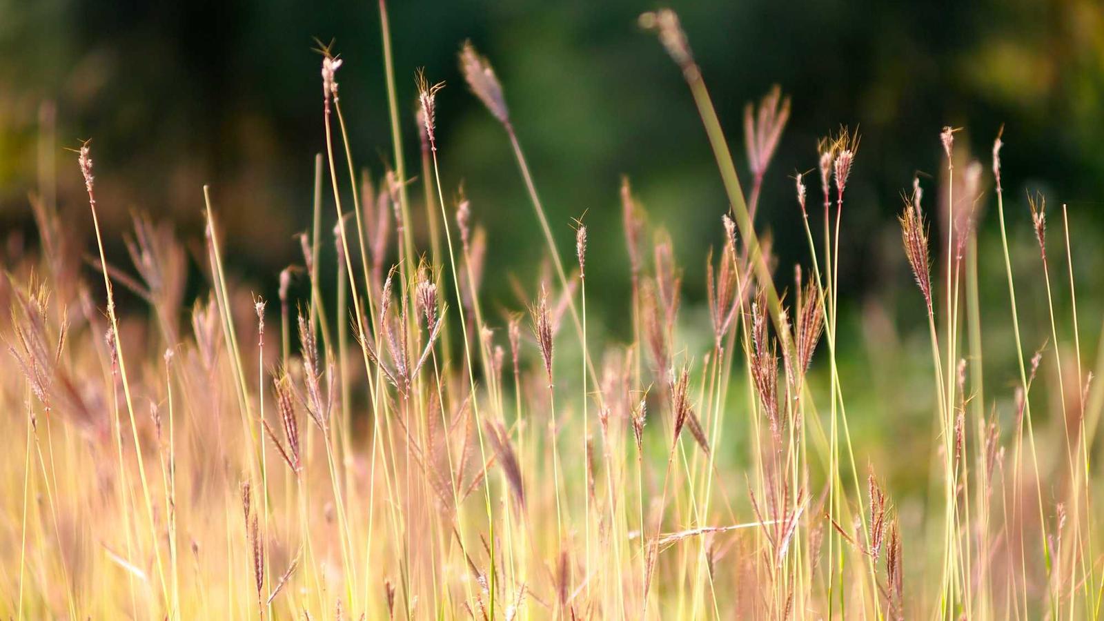 Cuisine zéro déchet